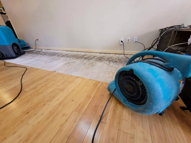 Professional Water Damage Repair technician working in Mounds, OK
